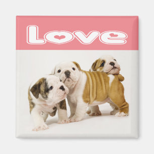 Liebe English Bulldog Welpen Hund Magnet