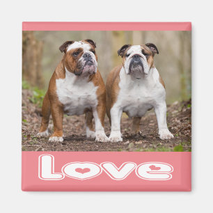 Liebe English Bulldog Welpen Hund Rosa Magnet