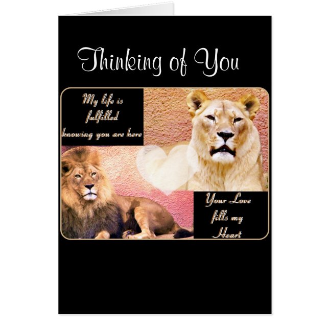 Liebe erfüllt, Liebe Sie_ (Vorne)