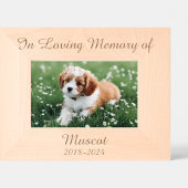 Liebe Erinnerung an Haustiere Geätzte Rahmen