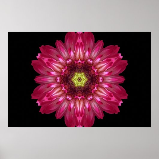 Liebe erlaubt Blume Mandala Poster (Vorne)
