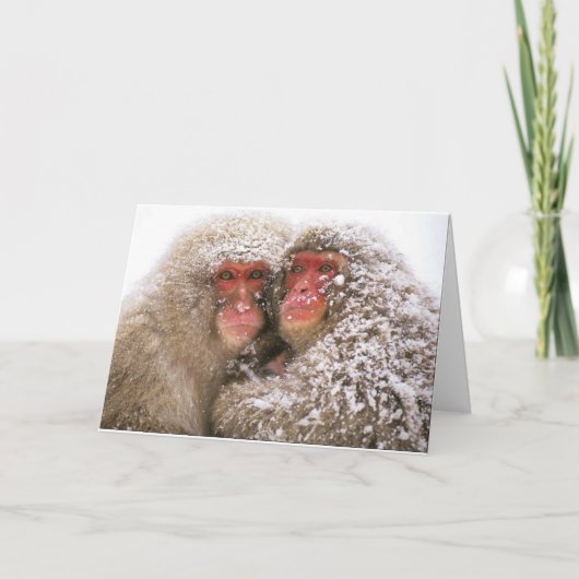 Liebe erobert alle karte (Vorderseite)