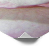 Liebe Erste Rose der Blush Poster (Ecke)