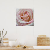 Liebe Erste Rose der Blush Poster (Küche)