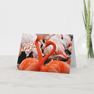 Liebe euch zwei schöne Flamingo-Vögel Karte
