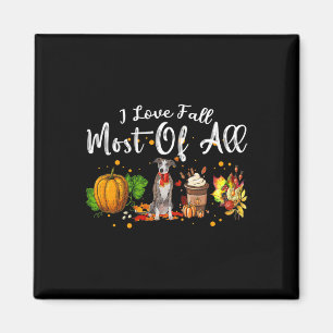 Liebe fällt am meisten von allen Pumpkin Greyhound Magnet