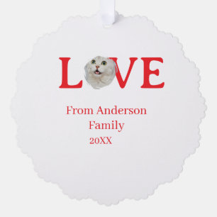 Liebe Feiertage Katzenfoto Haustier Familienname F Ornament Karte