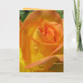 Liebe Feiertagskarte (Rückseite)