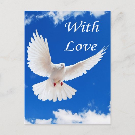 Liebe fliegt herein postkarte (Vorderseite)