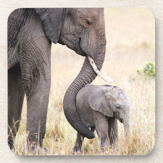 Liebe-Foto Getränkeuntersetzer (Vorderseite)