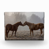 Liebe Fotoblock (Vorderseite)