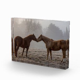 Liebe Fotoblock