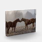 Liebe Fotoblock (Links)