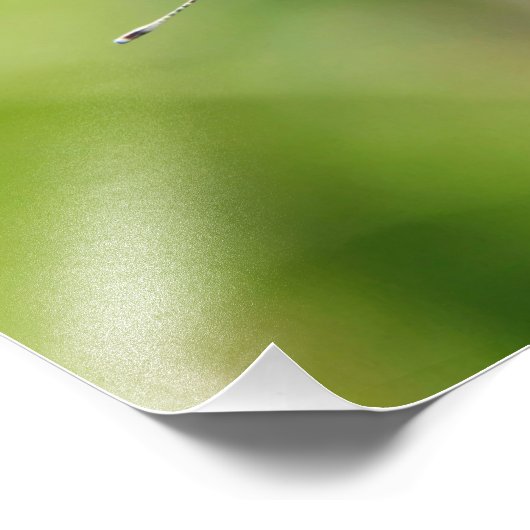 Liebe Fotodruck (Ecke)