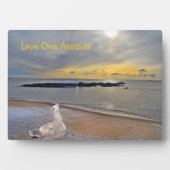 Liebe Fotoplatte (Vorderseite)