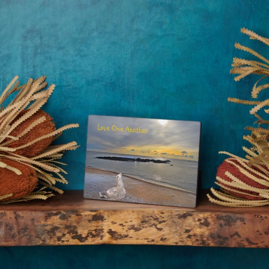 Liebe Fotoplatte (Seite)