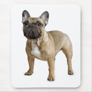 Liebe Französisch Bulldog Welpe Hund Mousepad