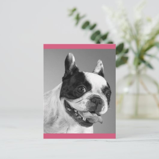 Liebe Französische Bulldog-Welpendockkarte Postkarte (Stehend Vorderseite)