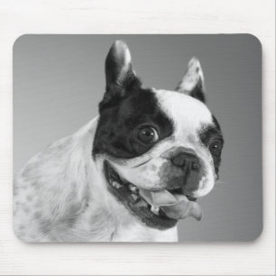 Liebe Französischer Bulldog Welpenhund Schwarz-Wei Mousepad