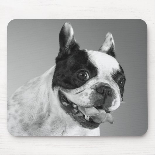 Liebe Französischer Bulldog Welpenhund Schwarz-Wei Mousepad (Vorne)