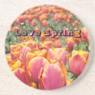Liebe Frühling Untersetzer Rosa Orange Tulip Blume