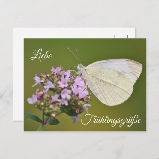 Liebe Frühlingsgrüße Postkarte (Vorne/Hinten)
