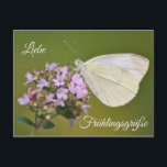 Liebe Frühlingsgrüße Postkarte<br><div class="desc">Mit dieser Postkommen Frühlingsgefühle gleich mit in den Briefkasten! Hilf dem Frühling auf die Sprünge und vielseitig sehend Blumengrüße für Deine Lieben!</div>