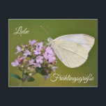 Liebe Frühlingsgrüße Postkarte<br><div class="desc">Mit dieser Postkommen Frühlingsgefühle gleich mit in den Briefkasten! Hilf dem Frühling auf die Sprünge und vielseitig sehend Blumengrüße für Deine Lieben!</div>