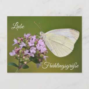 Liebe Frühlingsgrüße Postkarte