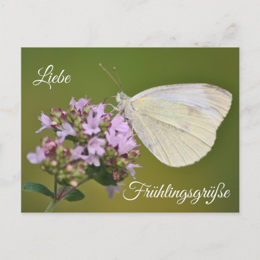 Liebe Frühlingsgrüße Postkarte (Vorderseite)