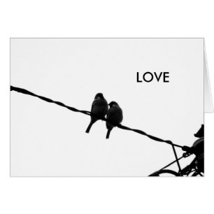 Liebe-/Funkpaare-B&W-Fotokarte