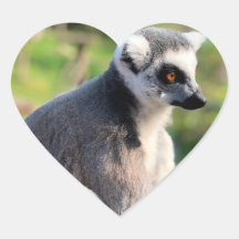 Liebe: Für Australien