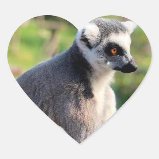 Liebe: Für Australien Herz-Aufkleber (Vorderseite)