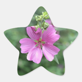 Liebe: Für Australien Stern-Aufkleber