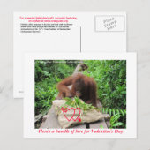 Liebe für den Valentinstag Feiertagspostkarte (Vorne/Hinten)