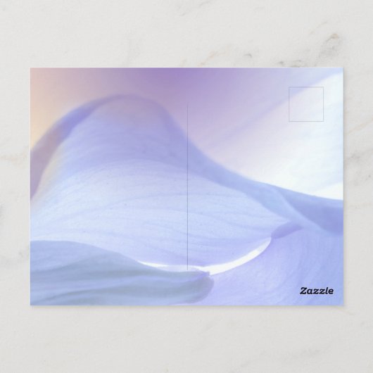 Liebe für ihre Postkarte (Rückseite)