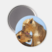 Liebe für Löwen Magnet (Vorderseite/Rückseite)