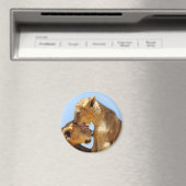 Liebe für Löwen Magnet (In Situ (Geschirrspüler))