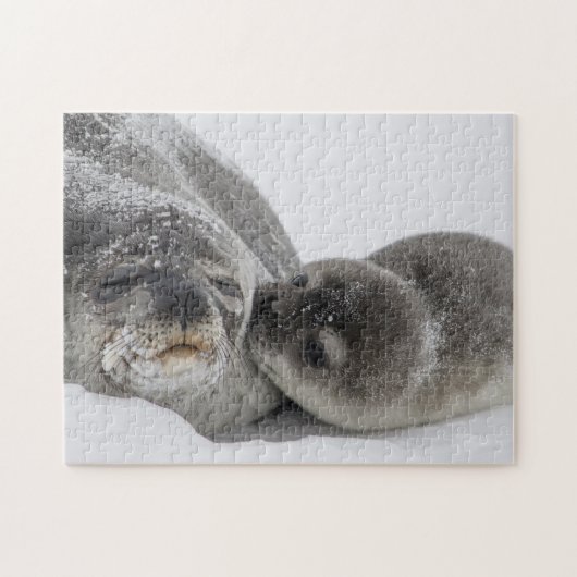 Liebe für Mutter und Baby-Siegel Puzzle (Horizontal)