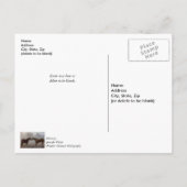Liebe für Pferde Vielen Dank Postkarte (Rückseite)