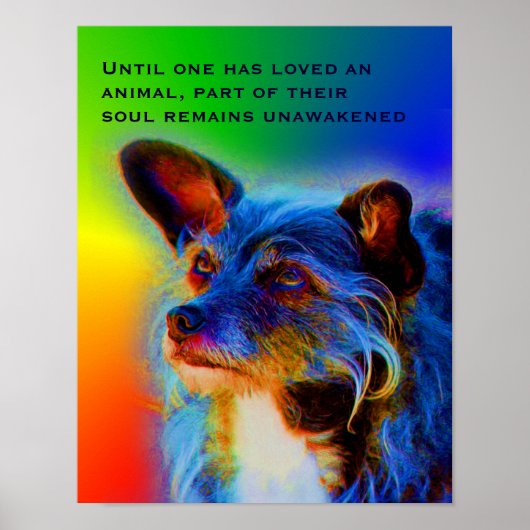 Liebe für Tiere Zitat Inspiration Poster (Vorne)