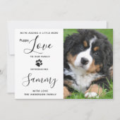 Liebe für Welpen Ankündigung von Haustieren (Vorderseite)