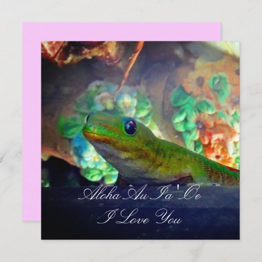 Liebe Gecko (Vorne/Hinten)