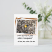 Liebe Gedicht und Gedicht Orange Postkarte (Stehend Vorderseite)