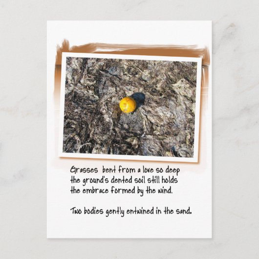 Liebe Gedicht und Gedicht Orange Postkarte (Vorderseite)