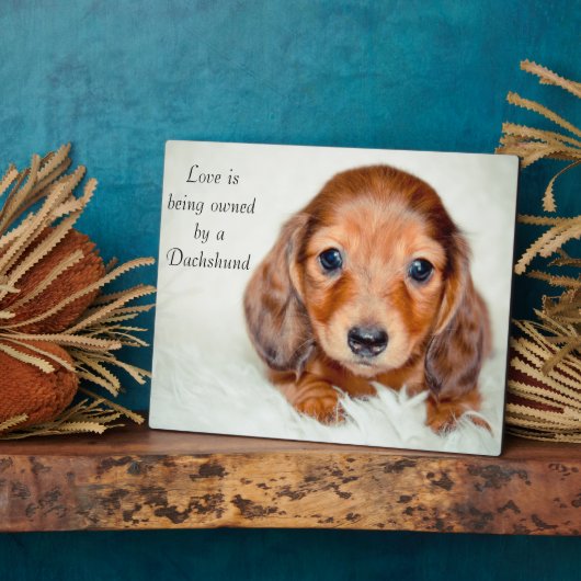 Liebe gehört einer Dackel Fotoplatte (Seite)