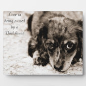 Liebe gehört einer Dackel Fotoplatte (Vorderseite)