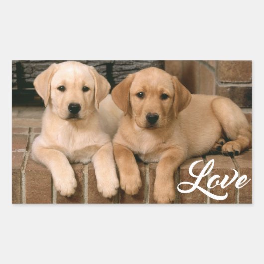 Liebe Gelbes Labrador Retriever Welpen Sticker (Vorderseite)