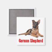 Liebe German Shepherd Puppy Dog Kühlschrankmagnet (Vorderseite/Rückseite)