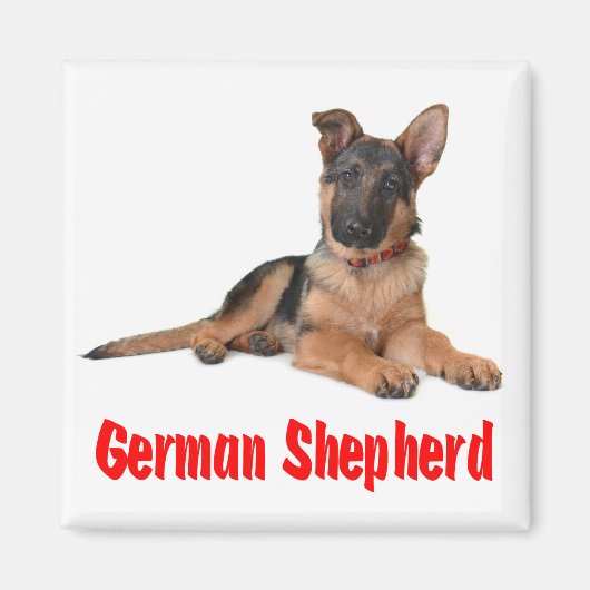 Liebe German Shepherd Puppy Dog Kühlschrankmagnet (Vorne)
